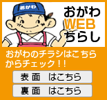 webチラシ