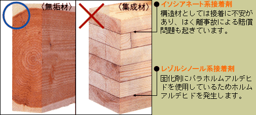 天然無垢材 VS 集成材